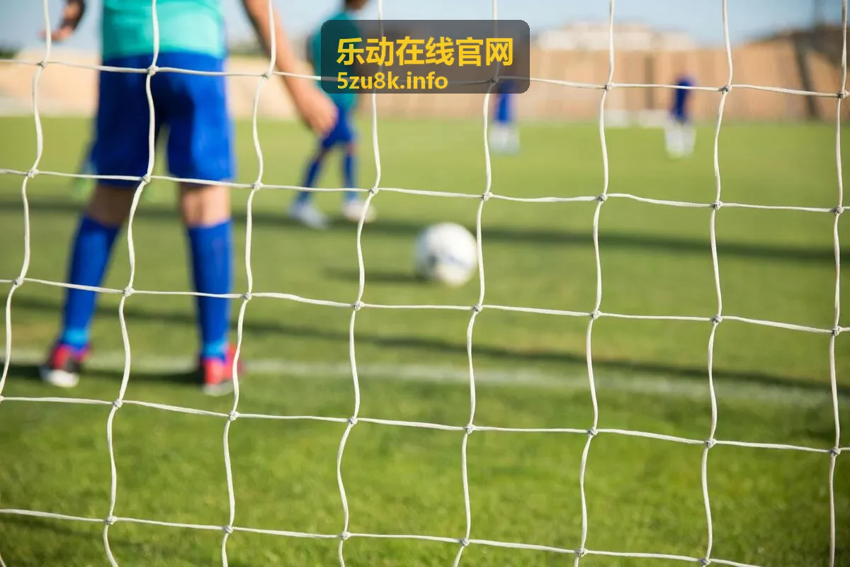 乐动在线官网综艺节目回放封面